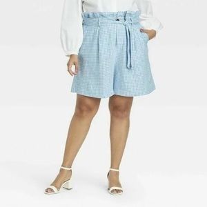 Gingham Shorts - Blue and White